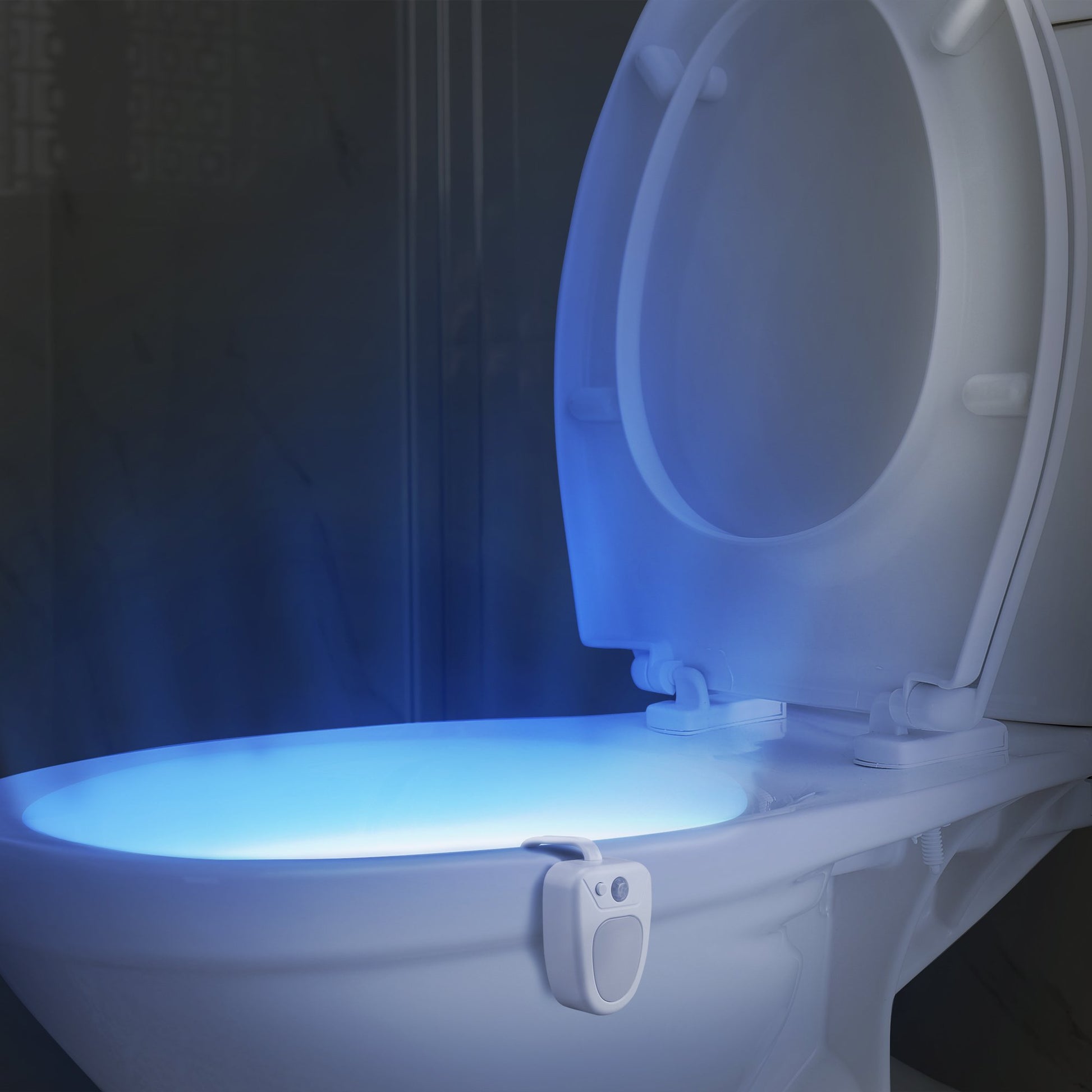 Eternal Toilet Bowl Light With Night Light Motion Activated Detection Color Changing