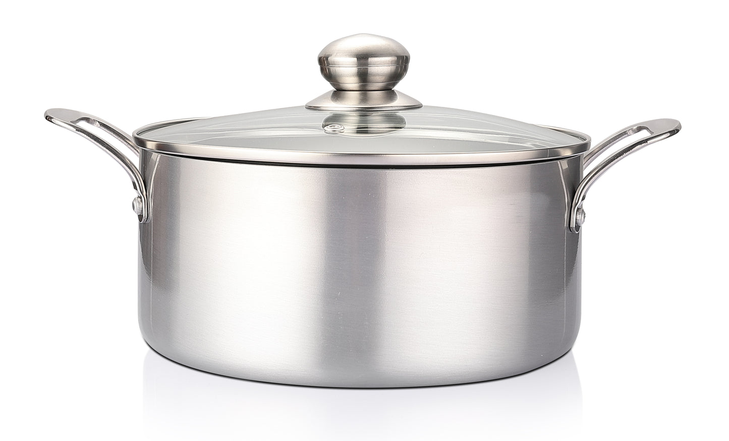 4.5qt Stainless Steel Coating Stock Pot