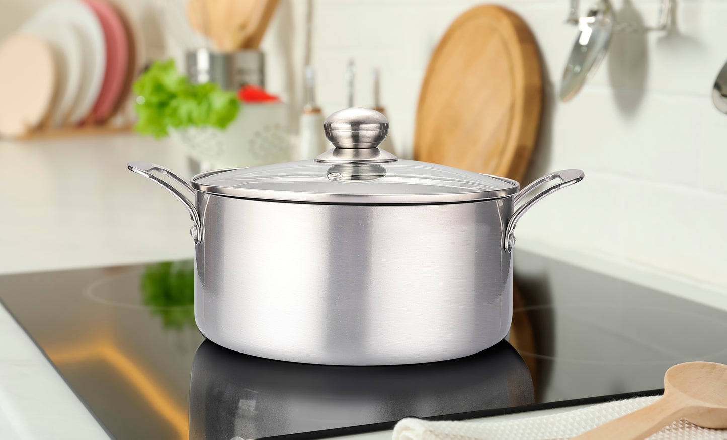 4.5qt Stainless Steel Coating Stock Pot