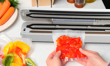 Vacuum Bag Sealer with 10 Bags