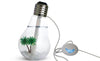 Decorative Bulb Humidifier
