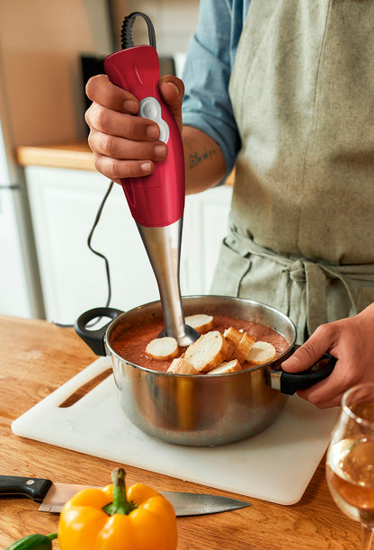 200W Immersion Hand Blender 2 Speed